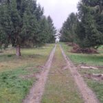 Lire la suite à propos de l’article Travaux et évolution